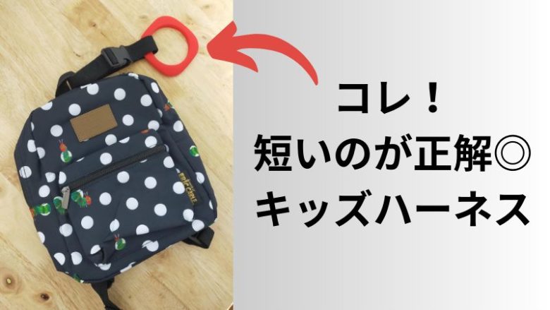 短いのが正解！キッズ―ハーネス